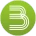 BastonetLOGO