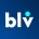 Bellevue NetworkLOGO