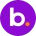 BNS Token[OLD]LOGO