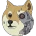 Doge2K22LOGO