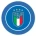 Italian Football FederationLOGO图片