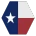 TexanLOGO