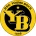 Young Boys Fan TokenLOGO